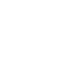 Plus2Feet — Wheels for Life