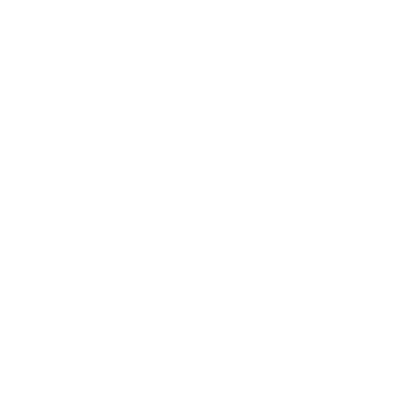 Plus2Feet — Wheels for Life