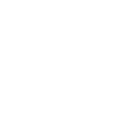 Plus2Feet — Wheels for Life Logo